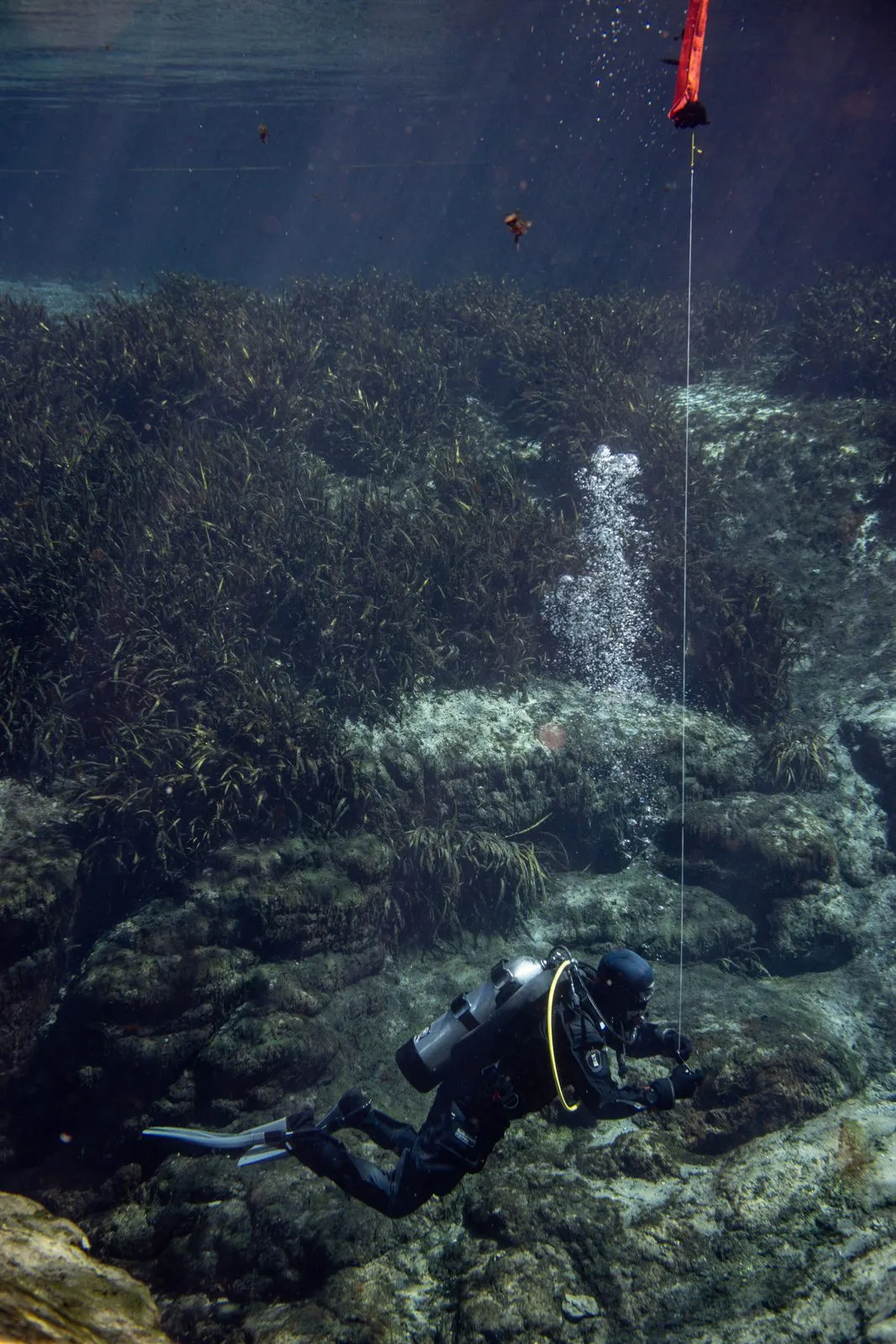 SDI Altitude Diver — Kursimpression