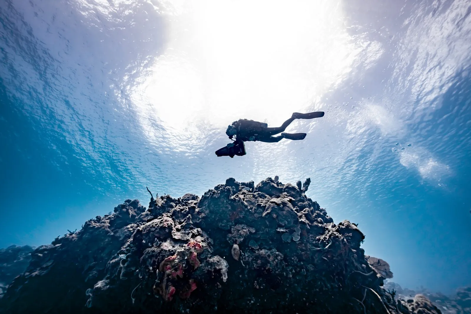 SDI Deep Diver — Kursimpression