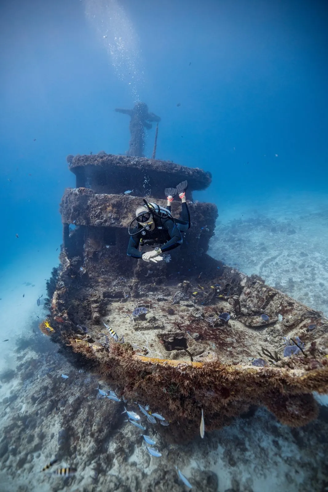 SDI Wreck Diver — Kursimpression